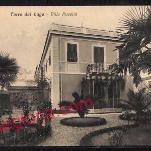 ag6793 - CARTOLINA D'EPOCA - Lucca Provincia - Torre del Lago