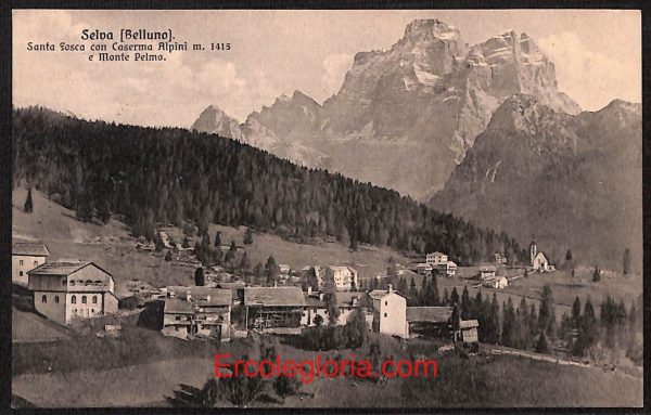 ae1278 - CARTOLINA  D'EPOCA - Belluno Provincia - Selva di Cadore