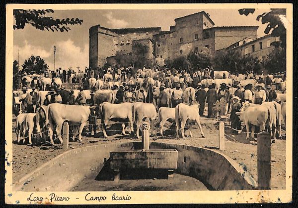 ad0495 - CARTOLINA  D'EPOCA - Macerata Provincia- Loro Piceno