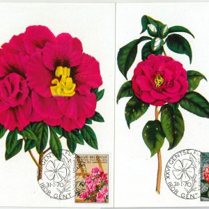 63430 -  BELGIUM - POSTAL HISTORY: Set of 2 MAXIMUM CARD 1970 -  FLOWERS