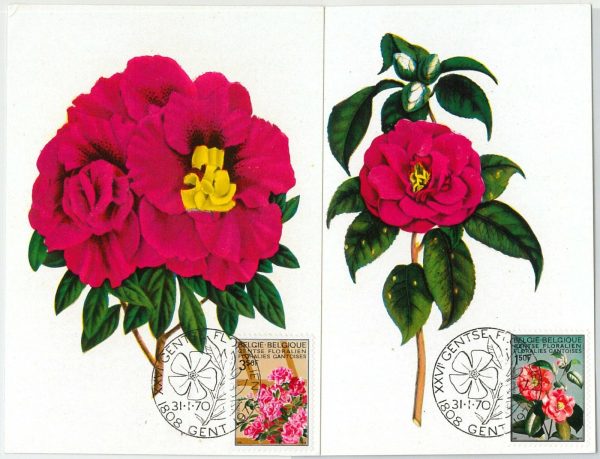 63430 -  BELGIUM - POSTAL HISTORY: Set of 2 MAXIMUM CARD 1970 -  FLOWERS