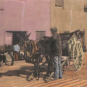 ab7297  -  CARTOLINA  D'EPOCA - Savona Provincia - ALASSIO