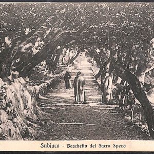 ad8585 - CARTOLINA D'EPOCA - Roma Provincia - Subiaco 1917