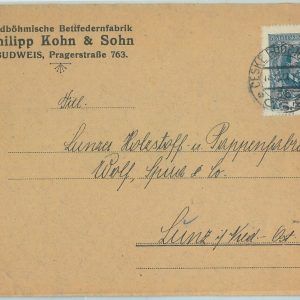66654 - Czechoslovakia - Postal History - COVER  1921