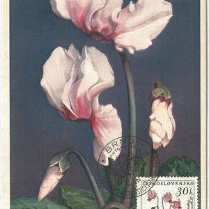 72821 - Czechoslovakia - Postal History - MAXIMUM CARD - FLOWERS 1961