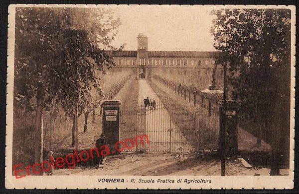 ah6354 - CARTOLINE  D'EPOCA - Pavia Provincia - Voghera