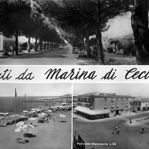 ac7868 - CARTOLINA D'EPOCA - Livorno Provincia - Marina di Cecina  1962