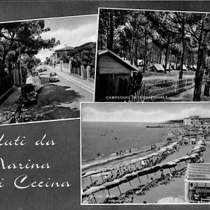 ac7870 - CARTOLINA D'EPOCA - Livorno Provincia - Marina di Cecina  1961