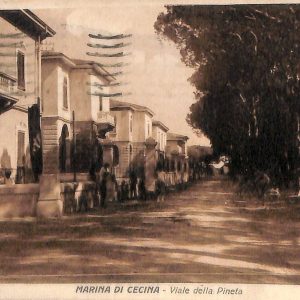 ac7877 - CARTOLINA D'EPOCA - Livorno Provincia - Marina di Cecina  1926