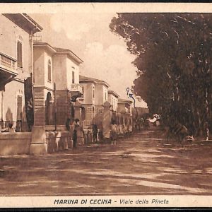 ac7878 - CARTOLINA D'EPOCA - Livorno Provincia - Marina di Cecina  1928