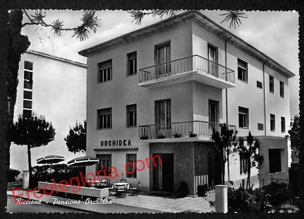 ah9922 - CARTOLINA D'EPOCA - Riccione Città - Pensione Orchidea