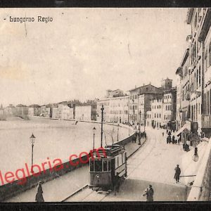 ah7750 - CARTOLINA D'EPOCA - Pisa Città - Lungarno Regio