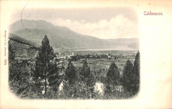 ab5605 - CARTOLINA  D'EPOCA - Trento Provincia : CALDONAZZO 1900