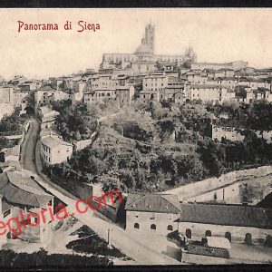 ai5330 - CARTOLINA D'EPOCA - Siena Città - Panorama