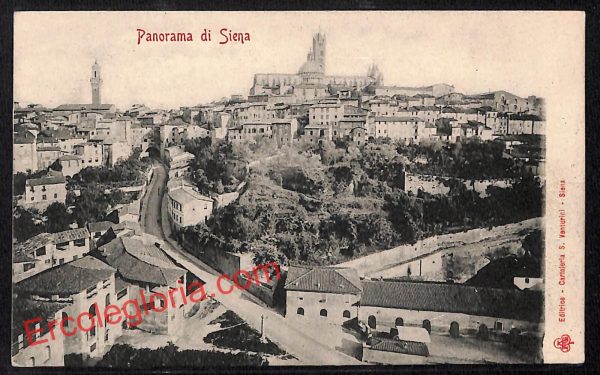 ai5330 - CARTOLINA D'EPOCA - Siena Città - Panorama