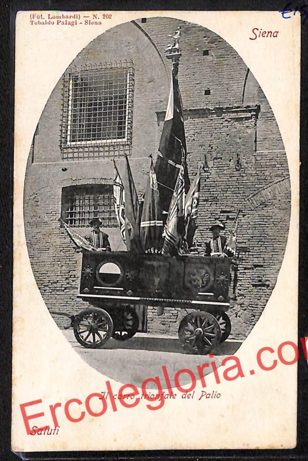 ai5331 - CARTOLINA D'EPOCA - Siena Città - Il Carro Trionfale del Palio