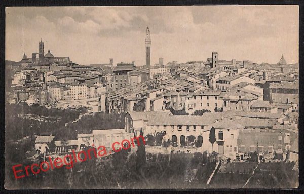ai5337 - CARTOLINA D'EPOCA - Siena Città - Panorama