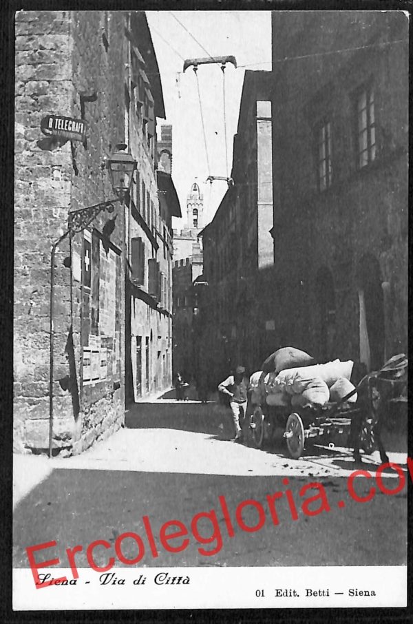 ai5345 - CARTOLINA D'EPOCA - Siena Città - Riproduzione - Via di Città