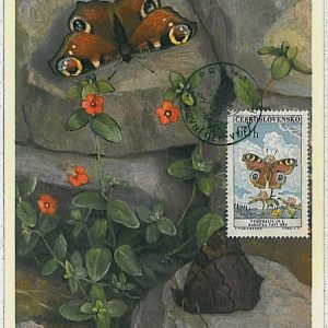 32398 - Czechoslovakia - MAXIMUM CARD : insects BUTTERFLIES - 1961