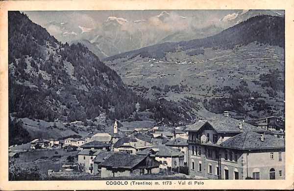 ab5616 - CARTOLINA  D'EPOCA - Trento Provincia : COGOLO