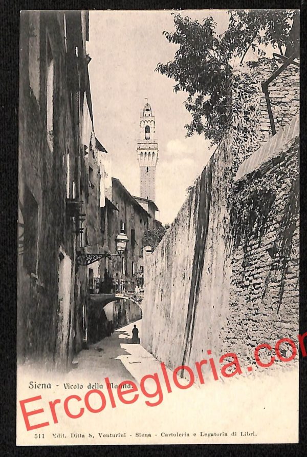 ai5360 - CARTOLINA D'EPOCA - Siena Città - Vicolo della Manna