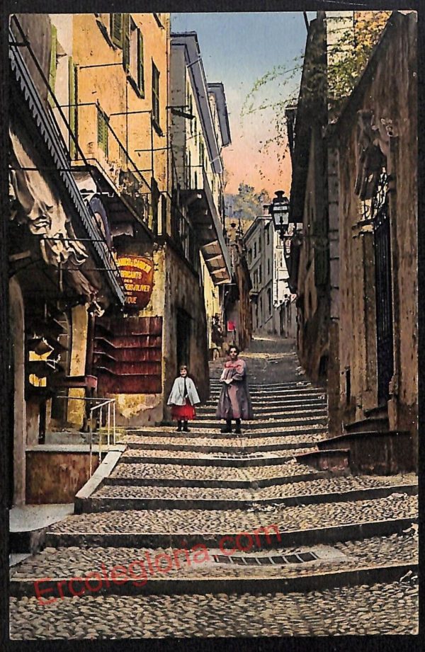 ae5177 - CARTOLINA D'EPOCA - Como Provincia - Bellagio