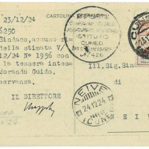 P 1133 - ITALIA REGNO   ENTI PARASTATALI, 30 CENT. SU CARTOLINA 1924