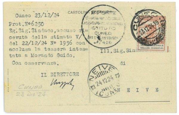 P 1133 - ITALIA REGNO   ENTI PARASTATALI, 30 CENT. SU CARTOLINA 1924