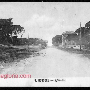 ad7140 - CARTOLINA D'EPOCA - Pisa Provincia - San Rossore