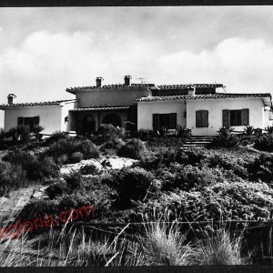 ag2069 - CARTOLINA D'EPOCA - Grosseto Provincia - Castiglione della Pescaia