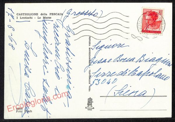 ag2069 - CARTOLINA D'EPOCA - Grosseto Provincia - Castiglione della Pescaia - immagine 2