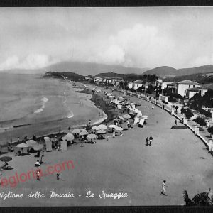ag2073 - CARTOLINA D'EPOCA - Grosseto Provincia - Castiglione della Pescaia