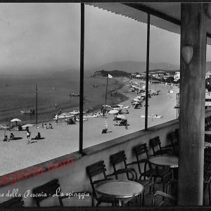 ag2097 - CARTOLINA D'EPOCA - Grosseto Provincia - Castiglione della Pescaia 1959