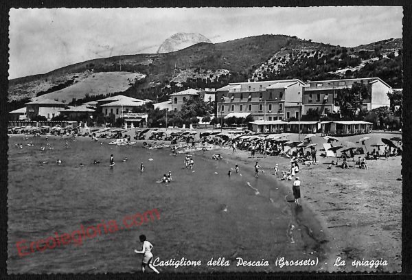 ag2099 - CARTOLINA D'EPOCA - Grosseto Provincia - Castiglione della Pescaia 1961