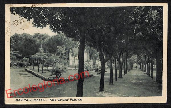 ag8022 - CARTOLINA D'EPOCA - Massa Carrara Provincia - Marina di Massa
