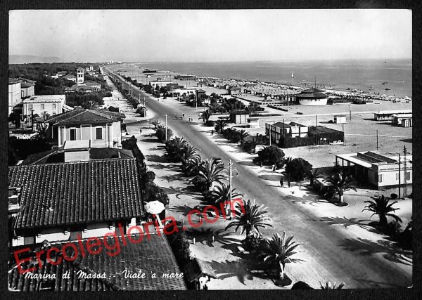 ag8024 - CARTOLINA D'EPOCA - Massa Carrara Provincia - Marina di Massa