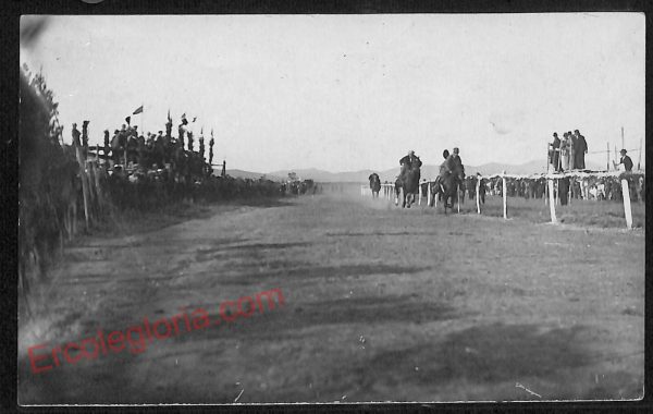ag2110 - CARTOLINA D'EPOCA - Grosseto Provincia - Castiglione della Pescaia