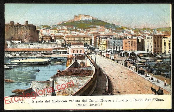 ag9843 - CARTOLINE D'EPOCA - Napoli Citta - Castel Nuovo