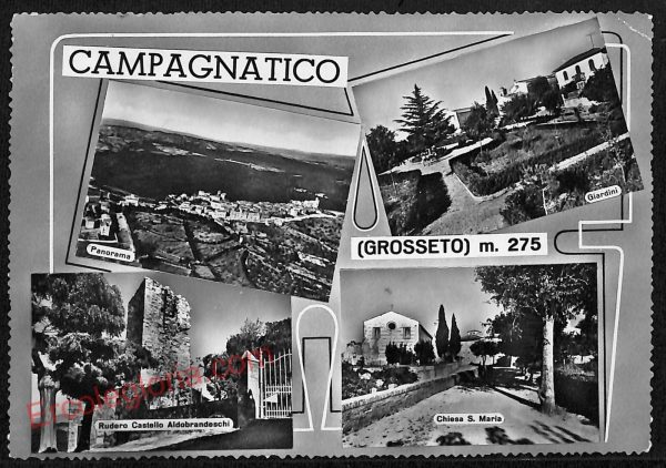 ag2132 - CARTOLINA D'EPOCA - Grosseto Provincia - Campagnatico  1959