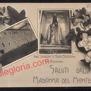 ag5505 - CARTOLINA D'EPOCA - L'Aquila Provincia - Madonna del Monte