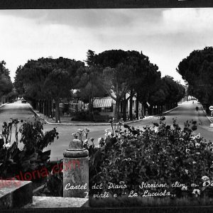 ag2142 - CARTOLINA D'EPOCA - Grosseto Provincia - Castel del Piano