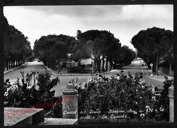 ag2142 - CARTOLINA D'EPOCA - Grosseto Provincia - Castel del Piano
