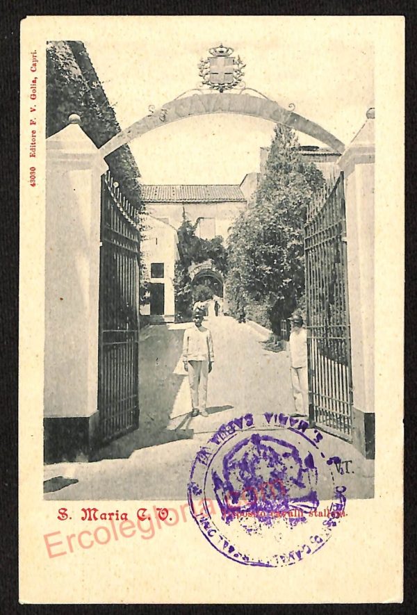 ae4619 - CARTOLINA D'EPOCA - Caserta Provincia - Capua