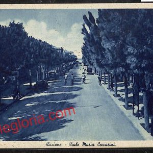 ah9923 - CARTOLINA D'EPOCA - Riccione Città - Viale Maria Ceccarini