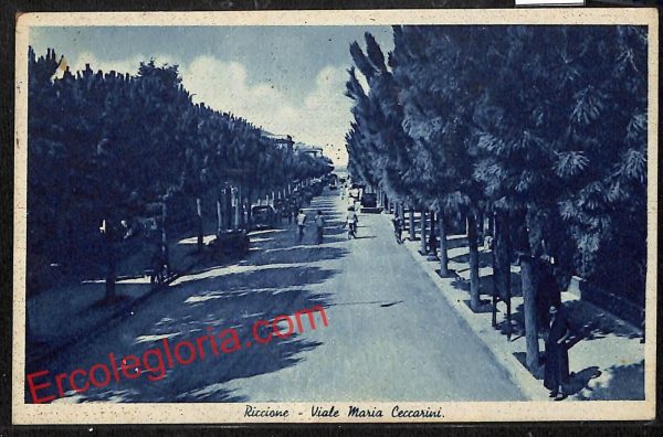 ah9923 - CARTOLINA D'EPOCA - Riccione Città - Viale Maria Ceccarini