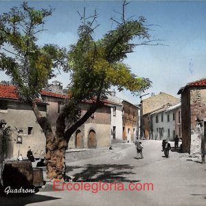 ad8353 - CARTOLINA D'EPOCA - Roma Provincia - Manziana  1967