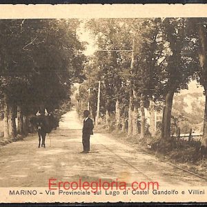 ad8357 - CARTOLINA D'EPOCA - Roma Provincia - Marino