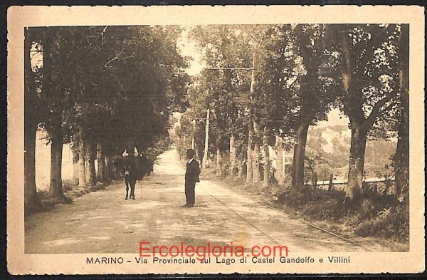 ad8357 - CARTOLINA D'EPOCA - Roma Provincia - Marino