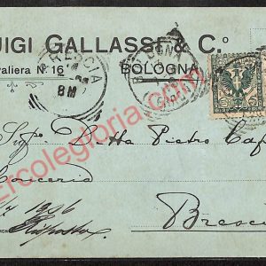 ae2297 - CARTOLINA  D'EPOCA - Bologna Città - Luigi Gallassi