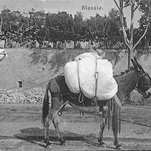 ab7205 -  CARTOLINA  D'EPOCA - Savona Provincia - ALASSIO 1925
